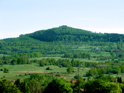 Gu�larz